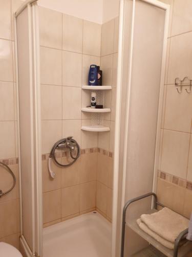 a bathroom with a shower with a shower at Pende in Banjol