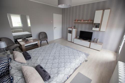 een slaapkamer met een bed en een tv. bij APARTMAN DANICA in Subotica