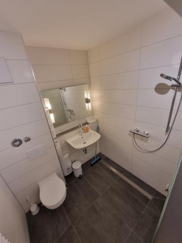 a bathroom with a toilet and a sink and a shower at Terrassenapartment Dietel in Zell im Fichtelgebirge
