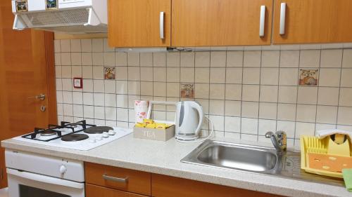 a kitchen counter with a sink and a stove at GABY apartment-center of Plitvička Jezera in Plitvička Jezera