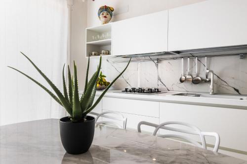 a potted plant sitting on a table in a kitchen at Panarea 22 in Calabernardo