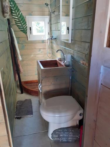 een kleine badkamer met een toilet en een wastafel bij Roulotte au numero 886 in Salernes