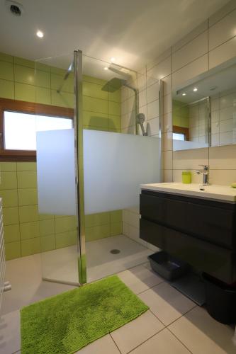 une salle de bain avec une douche, un lavabo et un miroir dans l'établissement Le Vintage grand appartement 4 étoiles avec jardin proche du lac, à Annecy