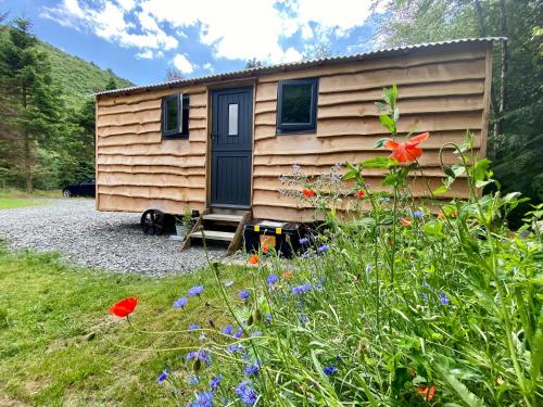 a tiny house with a blue door in a garden at Empress En Suite Wagon in Arthog