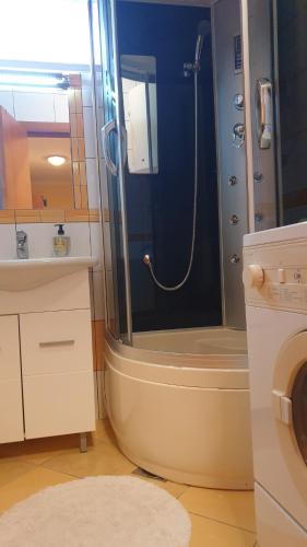 y baño con ducha y lavamanos. en GABY apartment-center of Plitvička Jezera en Plitvička Jezera