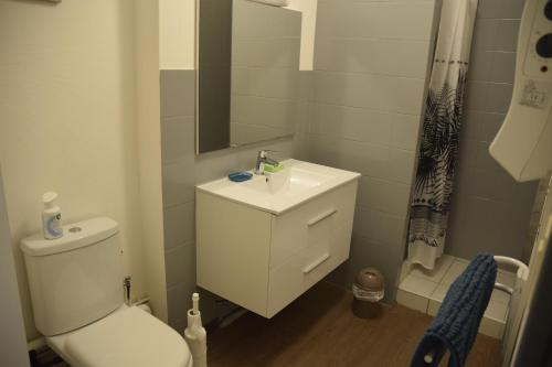 a bathroom with a white toilet and a sink at Appart-alma in Saint-Laurent-sur-Sèvre