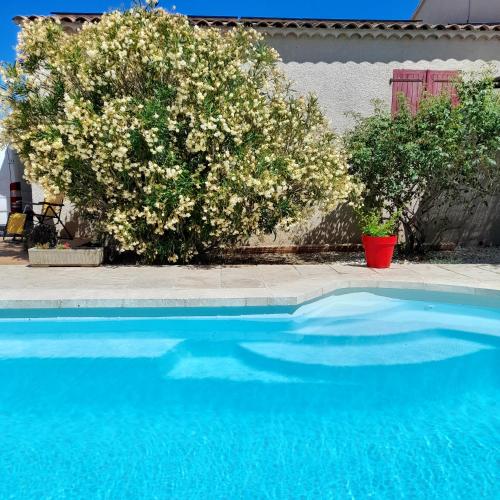 - une piscine bleue avec un bush fleuri à côté d'une maison dans l'établissement le petit Mazet, à Montfaucon