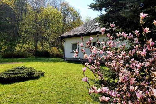 una pequeña casa en un patio con flores rosas en Bieszczadzki Zakątek, en Ustrzyki Dolne