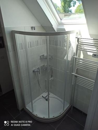 - une douche dans une pièce avec une enceinte en verre dans l'établissement Le petit palais de NaCo aux portes d'Etretat, à Cuverville