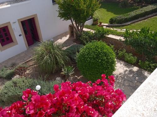 a garden with pink flowers in front of a house at Nefeli Hotel Leros in Agia Marina