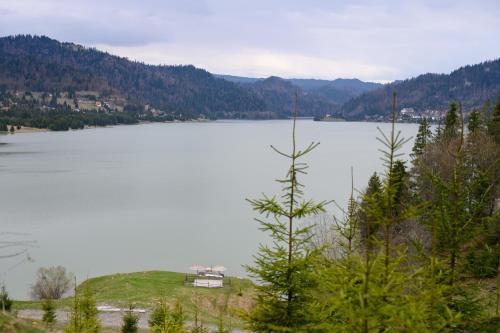 a view of a lake with a house in the middle at Casa Gabriela - langa lac in Colibiţa