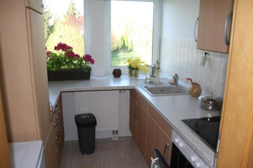 eine Küche mit einem Waschbecken und einem Fenster mit Blumen in der Unterkunft Wiesenblick in Loitz