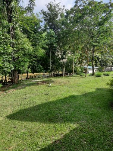 Taman di luar Pachamaya River Hostel