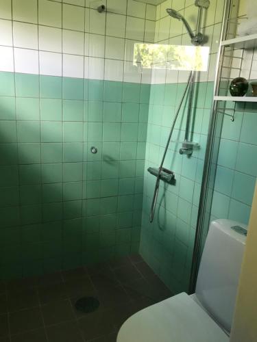a bathroom with a glass shower with a toilet at Doubleroom in basement w own bathroom in Rörum, Österlen in Simrishamn