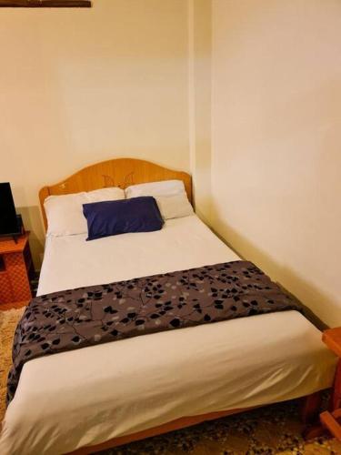 a bedroom with a bed with a blue pillow at Cozy Spacious Studio Apartment close to Town in Nanyuki