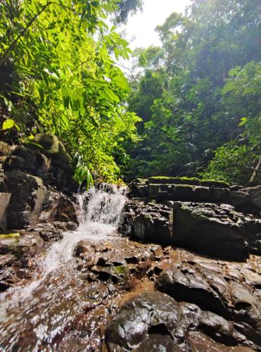 Bocaraca Lodge – Photos 2
