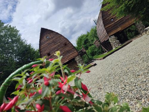 a garden with a building in the background with red flowers at Căsuțele de sub Șipote in Porumbacu de Sus