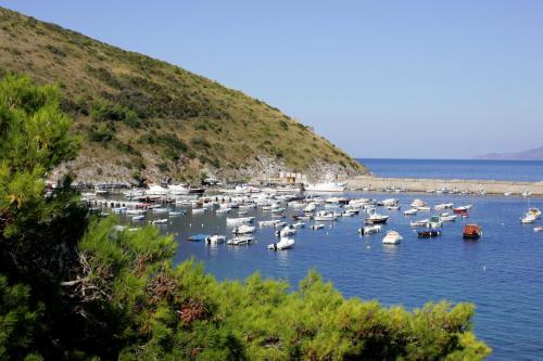 Gallery image of Hotel La Torre in Palinuro
