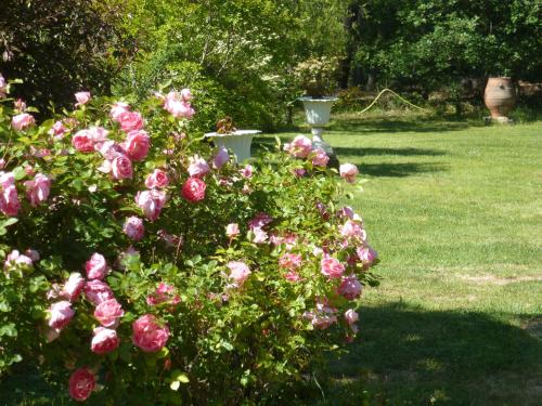 Κήπος έξω από το Domaine du Planas AILHON ARDECHE