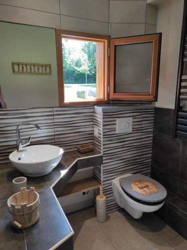 a bathroom with a sink and a toilet at Chalets "Ô Cœur des Puys" in Ceyssat