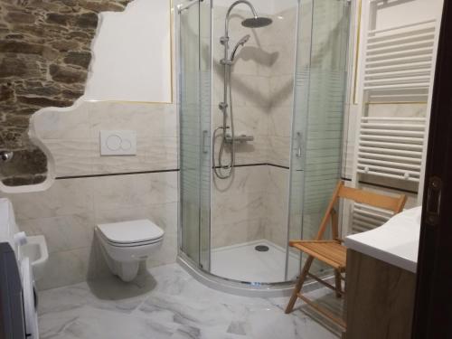 uma casa de banho com um chuveiro e um WC. em Da Lisa em Desulo