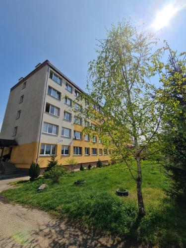 Gallery image of Apartament LAKE z widokiem na jezioro in Ostróda
