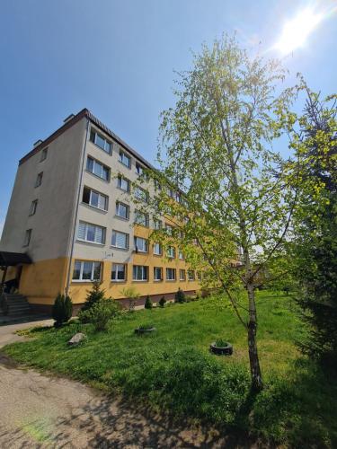 a building with a tree in front of it at Apartament LAKE z widokiem na jezioro Jakuba in Ostróda