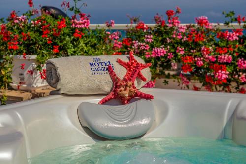 una estrella de mar roja sentada al borde de una bañera en Hotel Caggiari, en Senigallia