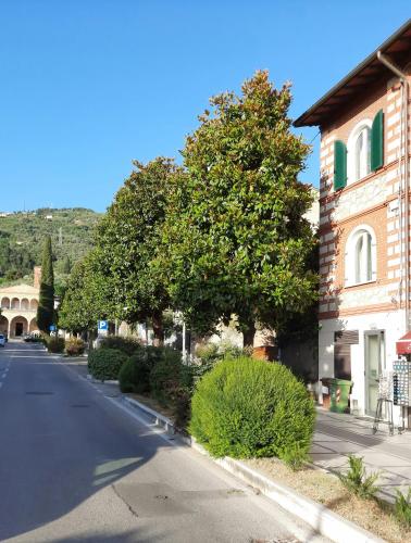 an empty street next to a building with a tree at Art Hotel Pietrasanta in Pietrasanta