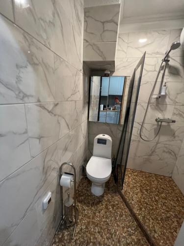 サウルクラスティにあるOstas ielas apartamentiのバスルーム(白いトイレ、鏡付)