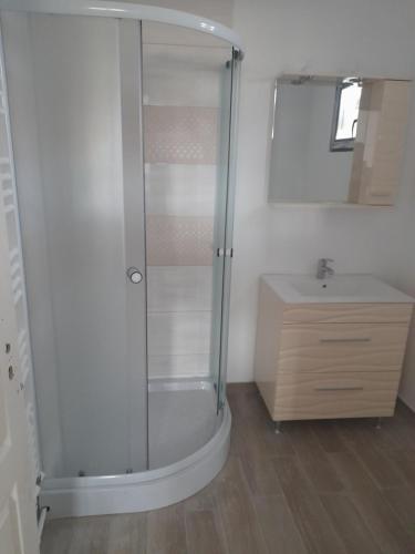 a bathroom with a shower and a sink at Casa Catalin in Gura Humorului