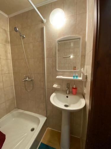 a bathroom with a sink and a shower and a tub at Золотий Дракон in Haysyn