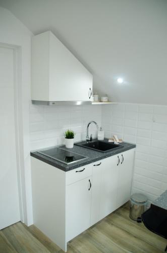 Una cocina o zona de cocina en Harmonija Lux
