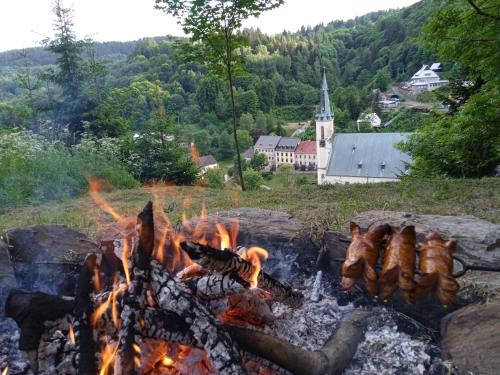 a fire pit with a bunch of bacon and flames at Apartmán Albreit in Jáchymov