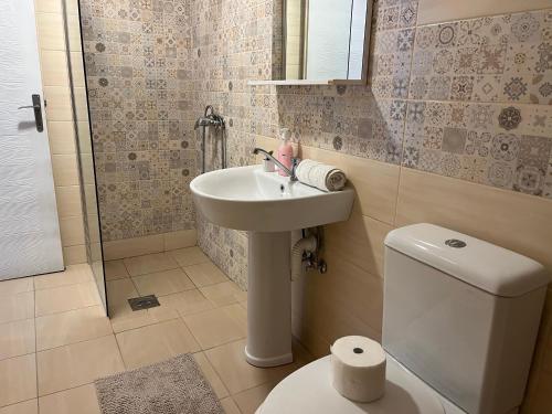 Apartman Mijailović 3 tesisinde bir banyo