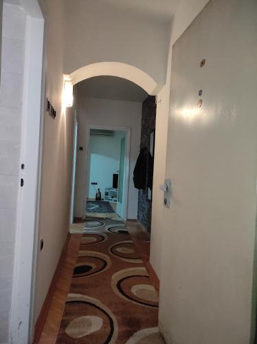 - un couloir avec un grand tapis au sol dans l'établissement Stan centar, à Bitola