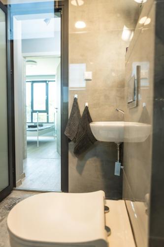 a bathroom with a toilet and a sink at Luxury apartment Vodolei in Krapets