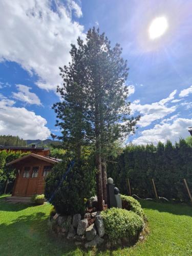 un árbol en medio de un patio en Gästehaus Gamsblick en Werfenweng