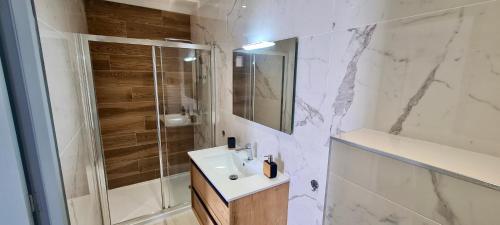 een badkamer met een wastafel en een douche bij Extraordinaire guest house sur la route de Pozzo in Brando