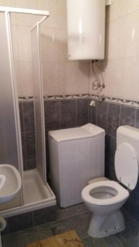een badkamer met toilet, douche en wastafel bij Savina in Herceg-Novi