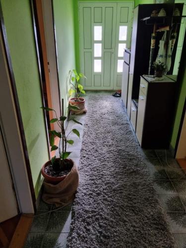 Mynd úr myndasafni af M.D. Apartman í Trebinje