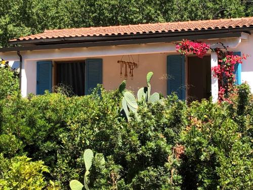 Taman di luar Case dei limoni sul mare