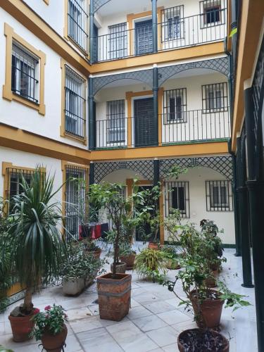 Duplex with terrace Santa Rufina