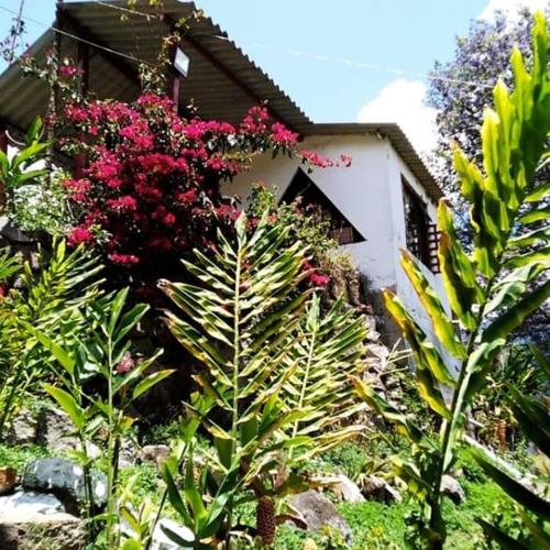 a garden with plants and flowers in front of a house at Finca Campestre Rancho Alegre in Fusagasuga