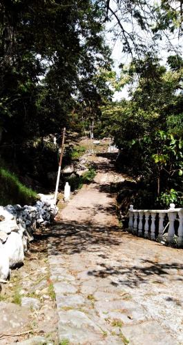 a dirt road with trees on the side of it at Finca Campestre Rancho Alegre in Fusagasuga