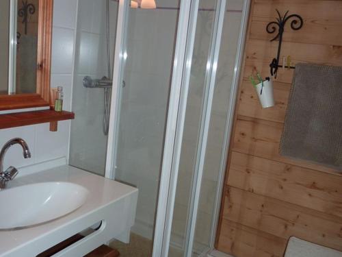 een badkamer met een douche en een wastafel bij Appartement Saint-Jean-d'Aulps, 2 pièces, 4 personnes - FR-1-573-101 in Saint-Jean-dʼAulps