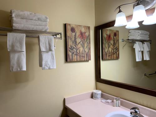 Kylpyhuone majoituspaikassa MountainView Hotel Merritt