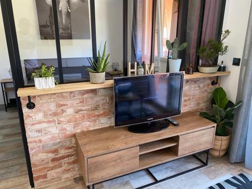 une télévision posée sur un centre de divertissement en bois dans l'établissement appartement vue mer avec place de parking privée, à Sainte-Maxime
