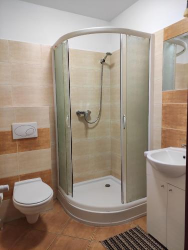 a bathroom with a shower with a toilet and a sink at Hotel MAGNAT in Głogów Małopolski