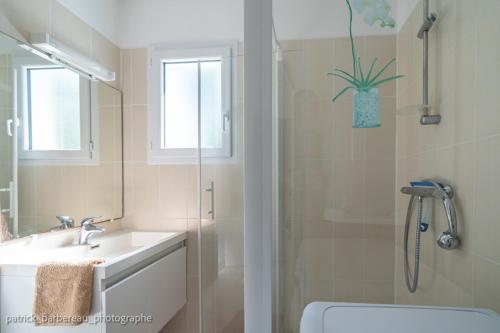 une salle de bain avec un lavabo et une douche dans l'établissement Les Gîtes de Sophie 85 gite Capucine, à Saint-Gervais